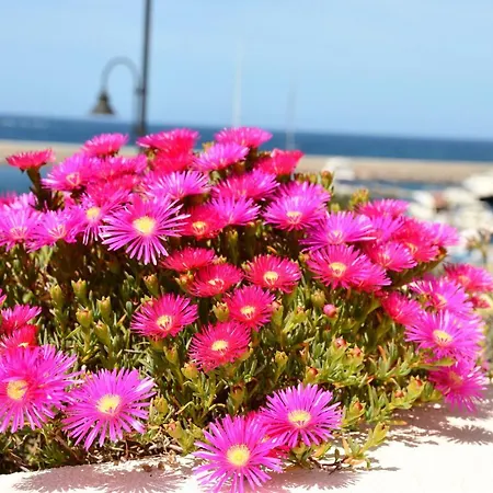Bed & Breakfast Villarolu *